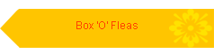 Box 'O' Fleas